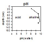 ORZC8 pH