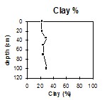 ORZC9 clay