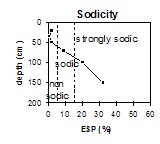 ORZC9 sodicity