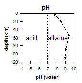 MP2 pH