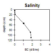 MP2 salinity