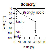 MP2 sodicity