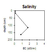MP7 salinity