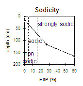 MP7 sodicity