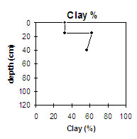 MP8 clay
