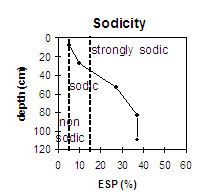 MP8 sodicity