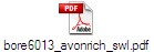bore6013_avonrich_swl.pdf