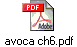 avoca ch6.pdf
