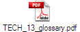 TECH_13_glossary.pdf