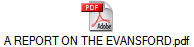 A REPORT ON THE EVANSFORD.pdf