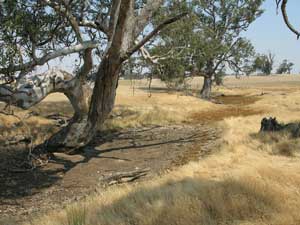 Bet Bet catchment dry chain of ponds