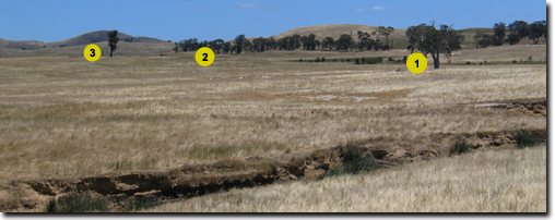 Photo:  Landscape Photo Bet Bet soil pits 1, 2 and 3