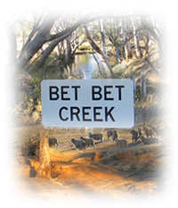 Photo: Bet Bet Catchment Montage