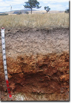 Photo:  Profile Photo Bet Bet soil pit 3