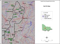Bet Bet Soil Pits