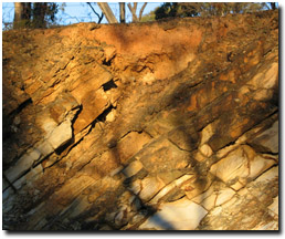 Photo: Dermosol on upper slopes of Ordovician rise. 