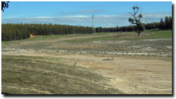 Photo: Salinity discharge area (foreground) near Lexton.