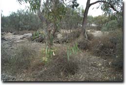 Photo: Bullock Creek
