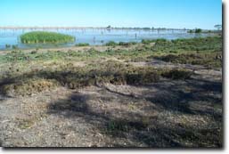 Photo: Lake Murphy