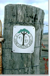 Photo: Lexton Landcare Group sign