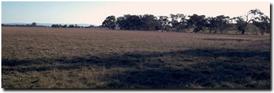 Photo: Soil Site LP109 Landscape