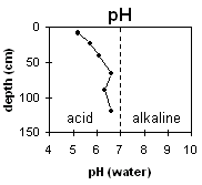 Photo: Soil Site LP60 pH levels