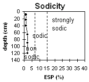 Photo: Soil Site LP60 Sodicity levels