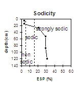 LP75 Sodicity