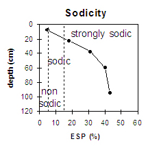 LP77 Sodicity