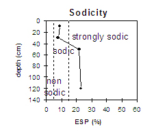 LP79 sodicity
