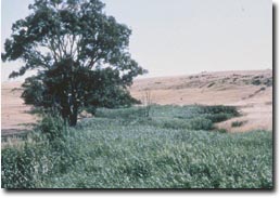 Slide:  Slide 12b