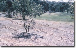 Slide:  Slide 5b