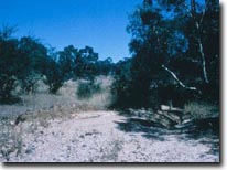 Slide:  Slide 7b