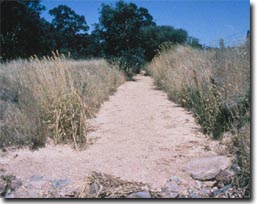 Slide:  Slide 8a