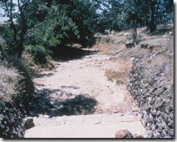 Slide:  Slide 8b