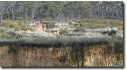 Photo: McHughs Gully June 2004