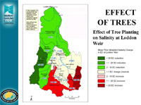 MDBC Loddon Tree Planting Effect