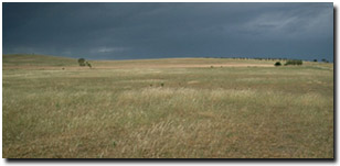Photo: Mount Camel View