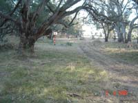 Bore 23 Axe Creek