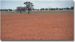 Photo: Cropping soil near Bridgewater.