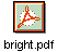 bright.pdf