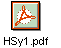 HSy1.pdf