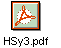 HSy3.pdf