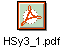 HSy3_1.pdf