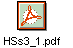 HSs3_1.pdf