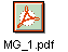MG_1.pdf