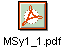 MSy1_1.pdf