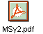 MSy2.pdf
