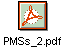 PMSs_2.pdf