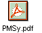 PMSy.pdf